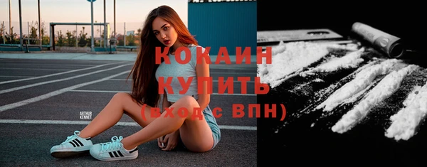 индика Абинск