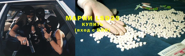 ГАЛЛЮЦИНОГЕННЫЕ ГРИБЫ Абаза