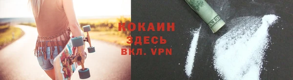 ГАЛЛЮЦИНОГЕННЫЕ ГРИБЫ Абаза