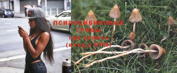 СК Алзамай