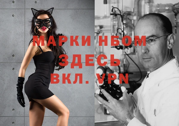 индика Абинск