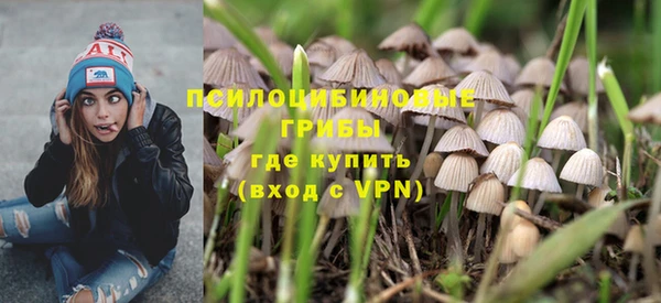индика Абинск