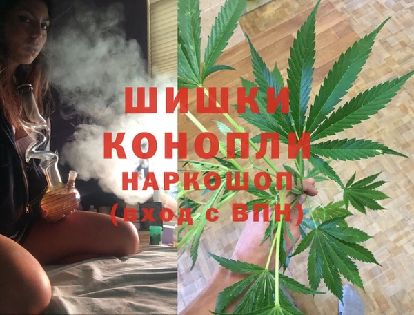 ГАЛЛЮЦИНОГЕННЫЕ ГРИБЫ Алексин