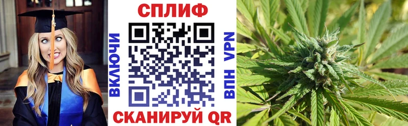 закладки  Куртамыш  Бошки Шишки THC 21% 